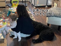二度見魂炸裂！錯乱待ったなしの決定的瞬間をとらえた画像