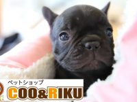 有限会社 Coo&amp;RIKUのプレスリリース画像