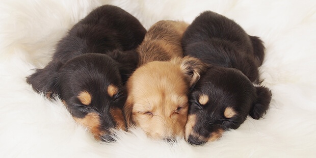 「Doctors Me（ドクターズミー）」コラム画像