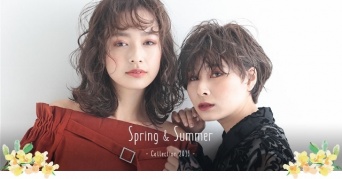 株式会社アルテサロンホールディングスのプレスリリース画像