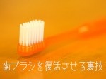 【歯磨き】毛先の広がった歯ブラシを復活させる方法