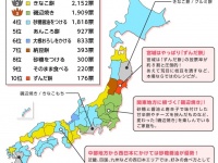 好きなお餅の食べ方、全国1位は「醤油をつける」『全国ご当地お餅人気投票』