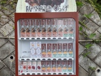 なぜ自販機で？何この名前？　謎すぎる「防空壕きくらげ」の正体を、生産者に聞いてみた