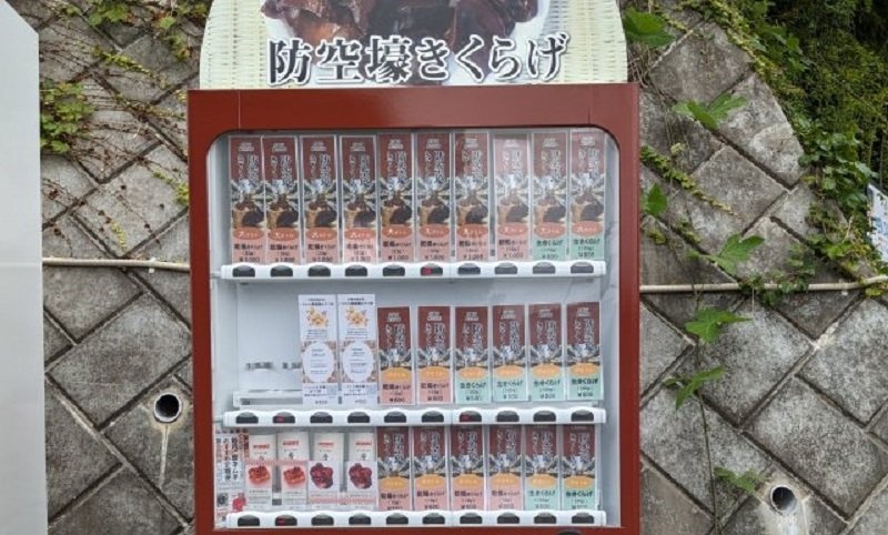 なぜ自販機で？何この名前？　謎すぎる「防空壕きくらげ」の正体を、生産者に聞いてみた