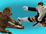 飼い主の外出中に…犬と猫がカンフーでガチ勝負！