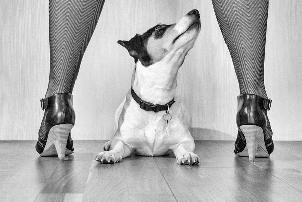 Photo by Georgie Pauwels