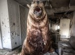 夕張市の廃校に海外カメラが潜入！　予想だにしない光景が広がっていた…