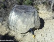 インドで発見された未知の遺跡に巨大な石壺
