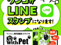株式会社サンザのプレスリリース画像