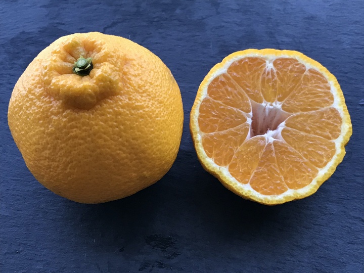 fao agrocommunicationのプレスリリース画像