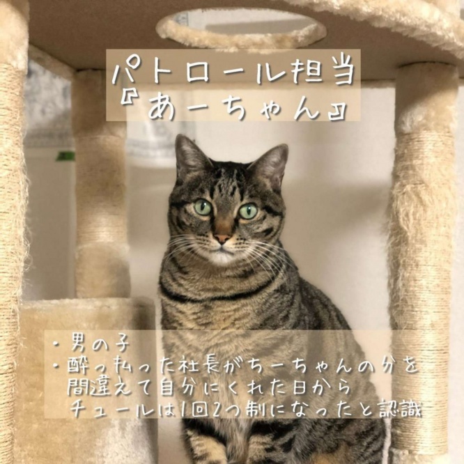 パトロール担当のあーちゃん（画像は佐々木酒造　公式ツイッターより）