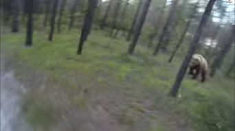 森をサイクリング中、ふと横を見ると熊さんが…。全速力で自転車をこぎますが、追いかけてきます。で、ひたすら逃げて、もう大丈夫だろうと思い振り返ると…まだ熊さんがいました。