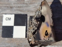 巨大な隕石の中からこれまで地球になかった未知なる2つの鉱物が発見される