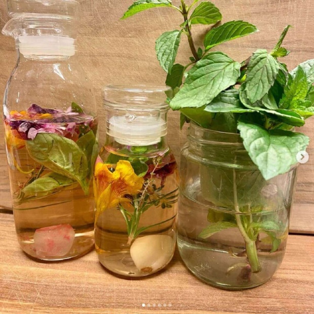 工藤静香 自家製ハーブビネガーにツッコミの嵐 衛生面大丈夫 Starthome