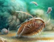 最も保存状態の良い三葉虫の化石が発見され、体の構造が明らかに