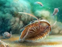 最も保存状態の良い三葉虫の化石が発見され、体の構造が明らかに