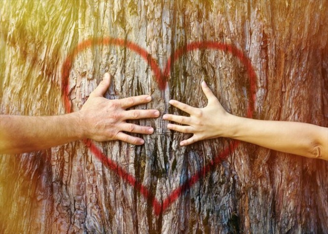 Hands of couple in love hugging a tree with painted red heart