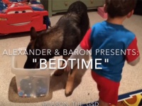 世界最強のベビーシッター犬が子どもの寝る前にすること。