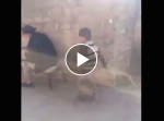 【動画】クレバーな少年が仕掛けたイタズラが面白い！