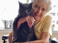 14歳で施設に保護された老猫に最高のパートナーが見つかる。これからはおばあさんと余生を共に（アメリカ）