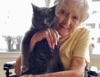 14歳で施設に保護された老猫に最高のパートナーが見つかる。これからはおばあさんと余生を共に（アメリカ）
