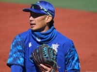 大田泰示