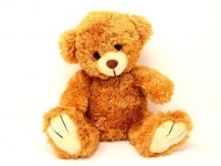 【心理テスト】プレゼントされたぬいぐるみをどこに飾る？　「好きな人に取る態度」