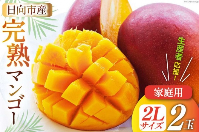 宮崎県 日向市「訳あり 宮崎 完熟 マンゴー 家庭用 2L 2玉」12000円（ふるさとチョイスより）