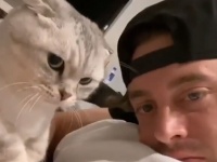 舐めても決して舐められたくはない猫、クレアの場合