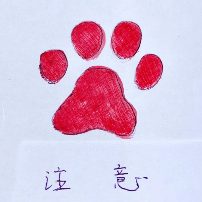 ※画像は工藤静香のインスタグラムアカウント『＠kudo_shizuka』より