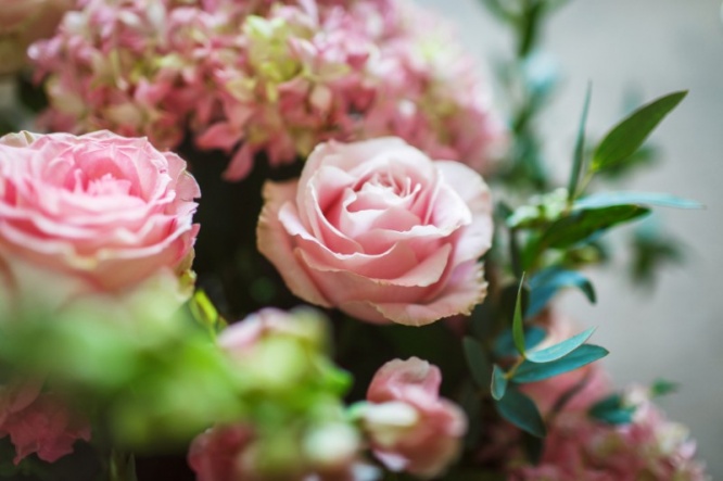 iStock_000074051247_Small