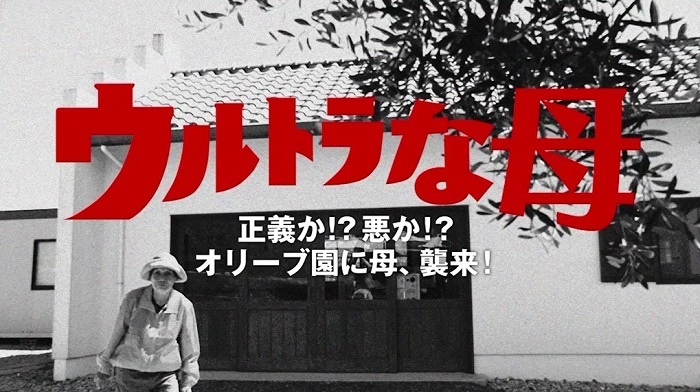 天草オリーブ園AVILO(アビーロ)のプレスリリース画像
