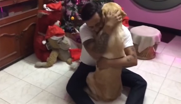 スクリーンショット-(4982)