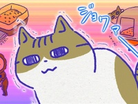 アレな生態系日常漫画「いぶかればいぶかろう」第29回：猫のトイレ事情（トイレ本体・猫砂編）