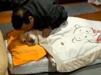 犬は飼わん！そう言い続けていた父親の豹変ぶりをご覧ください