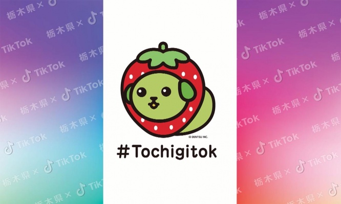 tochigitok9