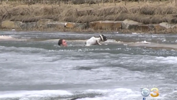 カナダ人男性が、凍てつく湖にダイブして飼い犬を救出！