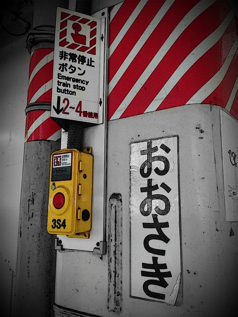 画像はイメージです（karitsuさん撮影、Flickrより）