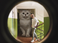 あったらいいなを現実世界に。巨大猫がいる都市空間をコラで表現してみた
