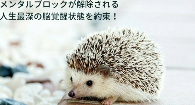 Dream Art Laboratoryのプレスリリース画像