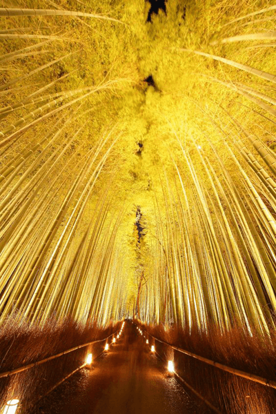 関西への日帰り一人旅にぴったり！　自分磨きにもおすすめしたい関西定番スポット3選#3