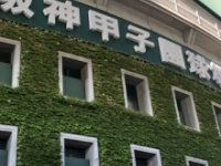 甲子園球場