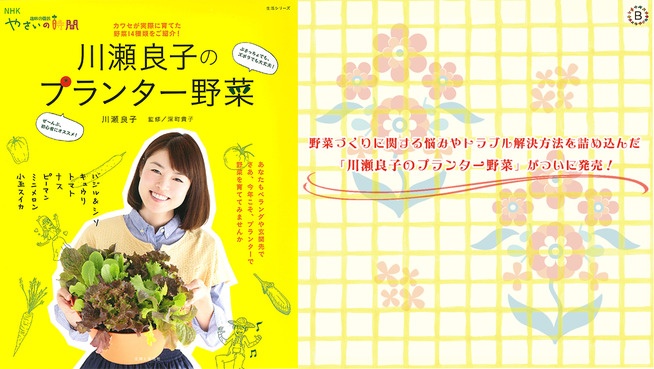 野菜づくりに関する悩みやトラブル解決方法を詰め込んだ「川瀬良子のプランター野菜」がついに発売！