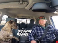 手を握ってほしいの。飼い主のぬくもりを感じ続けたい犬