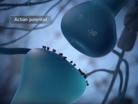 電脳化はこの後すぐ！？脳とコンピューターを直結する「Neuralink」を来年臨床試験予定（イーロンマスク）