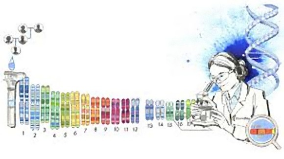 自分のルーツが知りたくて。遺伝子検査が流行っているアメリカで人生が変わるほどの衝撃を受けた12人
