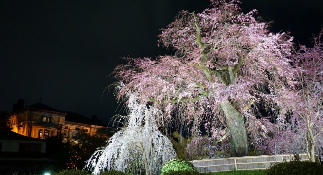 株式会社長楽館のプレスリリース画像
