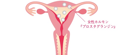 プロスタグランジンの図