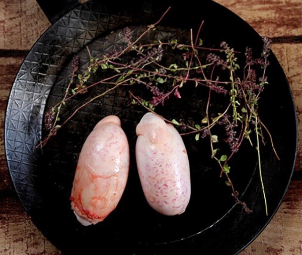 bulls-testicles-2043565_640