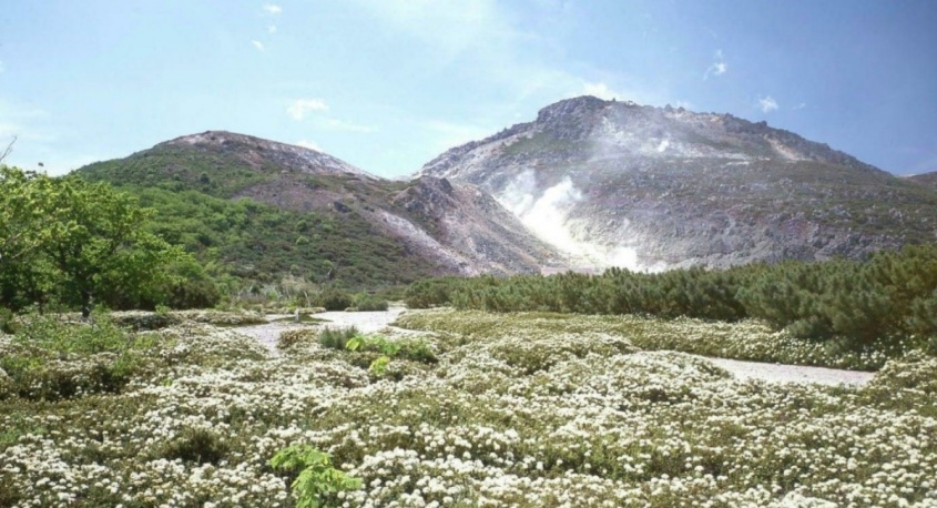 株式会社弟子屈町振興公社のプレスリリース画像